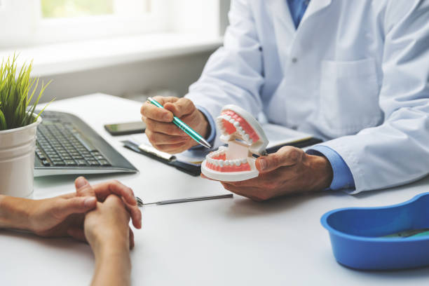 Professional Holistic Dental Care Services in University Of California Santa Barbara, CA